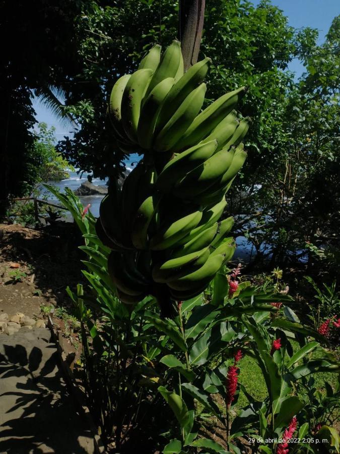 ホテル Casa Origen El Valle  エクステリア 写真